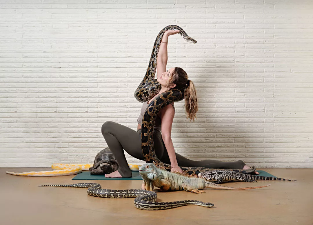 The Somatic Experience of Animal-Assisted Practice: A Clinical Look at Snake Yoga